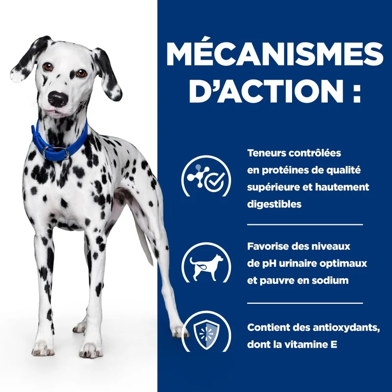 Hill's Prescription Diet u/d Urinary Care - croquettes chien