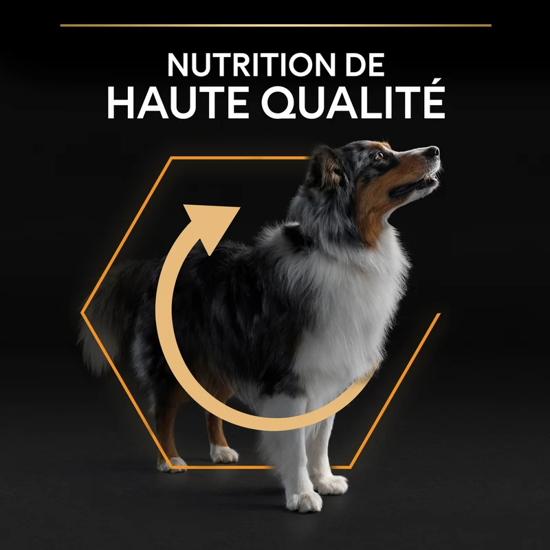Pro Plan Everyday Nutrition Medium Adult au poulet - croquettes chien