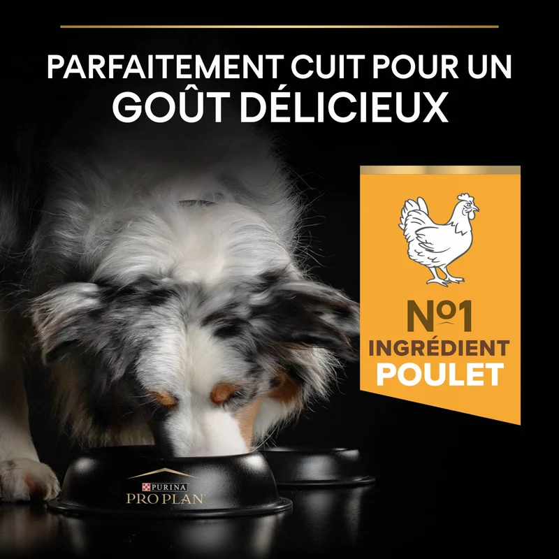 Pro Plan Light/Sterilised All Sizes Adult au poulet - croquettes chien