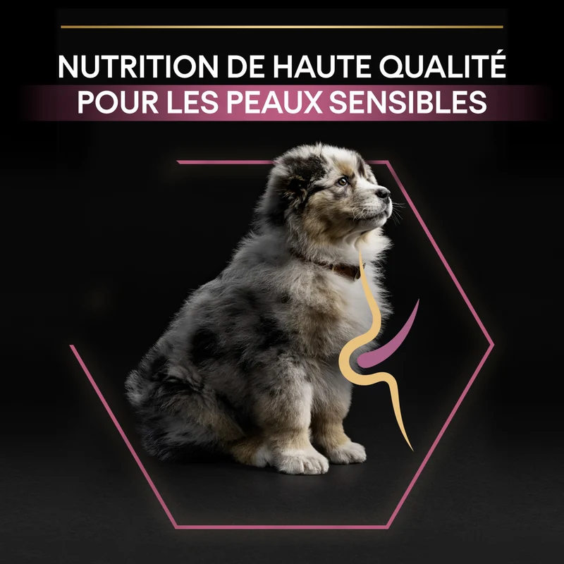 PRO PLAN Sensitive Skin Medium Puppy au Saumon - Croquettes pour chien