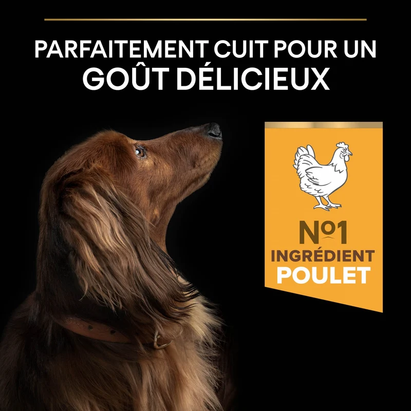 Pro Plan Age Defence Small & Mini Adult au poulet - croquettes chien