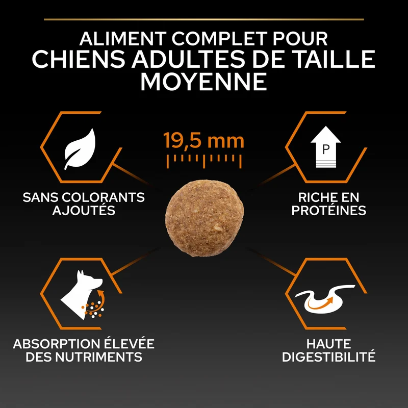 Pro Plan Everyday Nutrition Large Robust Adult au poulet - croquettes chien
