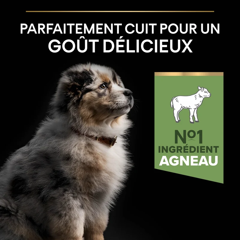 Pro Plan Sensitive Digestion Medium Puppy à l'agneau - croquettes chiot