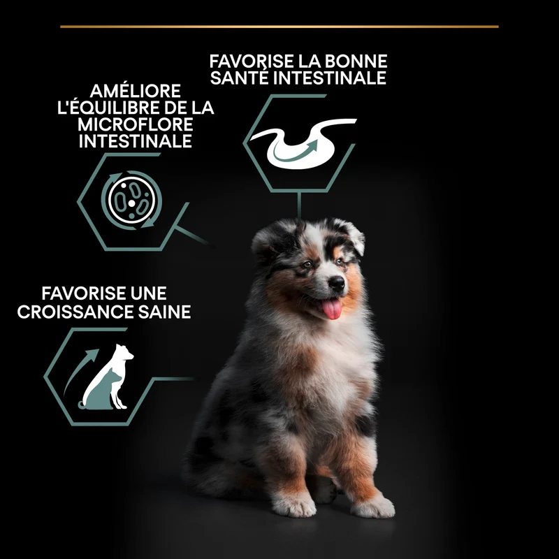 Pro Plan Sensitive Digestion Medium Puppy à l'agneau - croquettes chiot