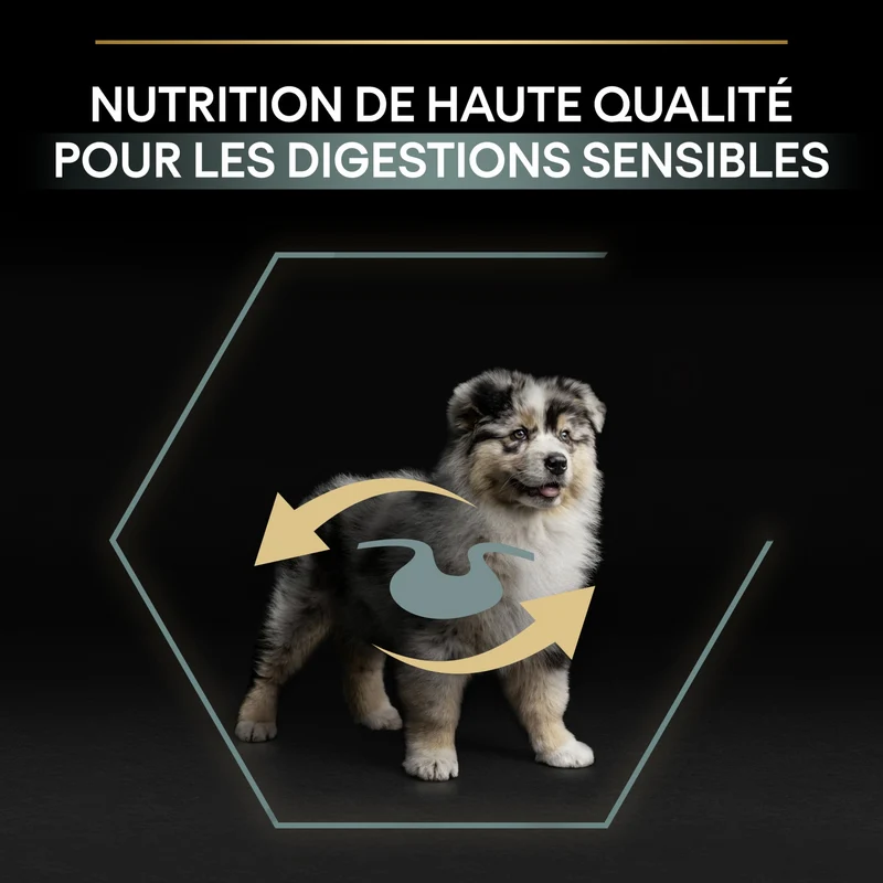 Pro Plan Sensitive Digestion Medium Puppy à l'agneau - croquettes chiot