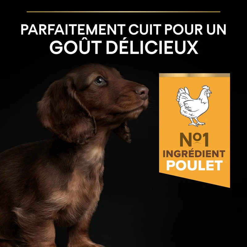 PRO PLAN Healthy Start Small & Mini Puppy au Poulet - Croquettes pour chien