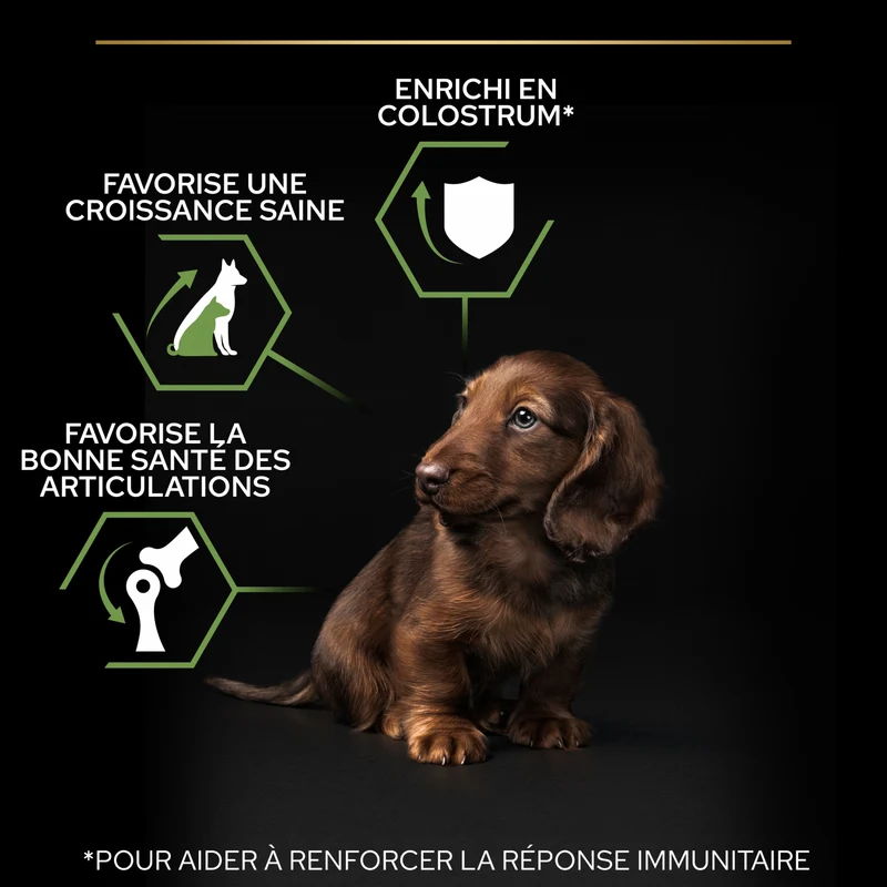 PRO PLAN Healthy Start Small & Mini Puppy au Poulet - Croquettes pour chien