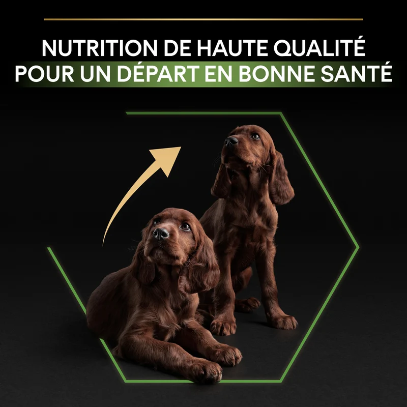 Pro Plan Healthy Start Large Athletic Puppy au poulet - croquettes chiot