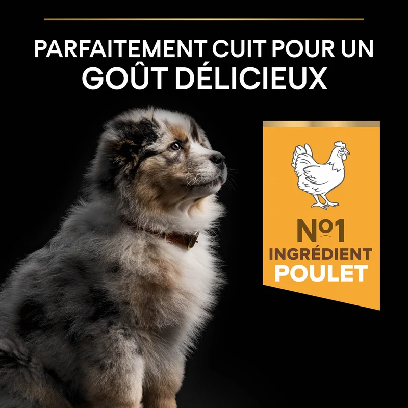 PRO PLAN Healthy Start Medium Puppy au Poulet - Croquettes pour chien