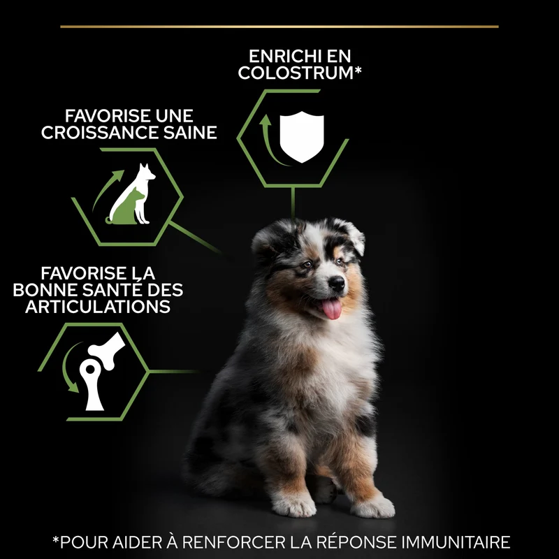 PRO PLAN Healthy Start Medium Puppy au Poulet - Croquettes pour chien
