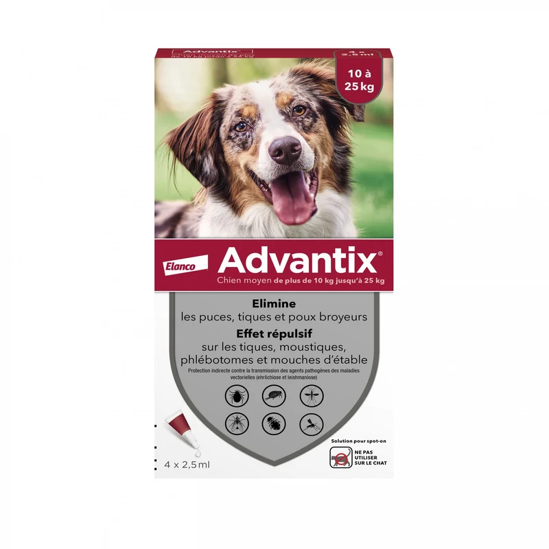 Pipettes Advantix chien