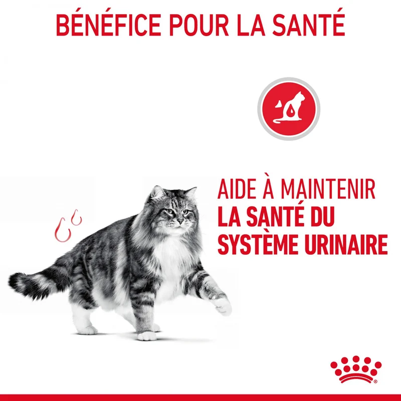 Royal Canin Urinary Care - croquettes chat