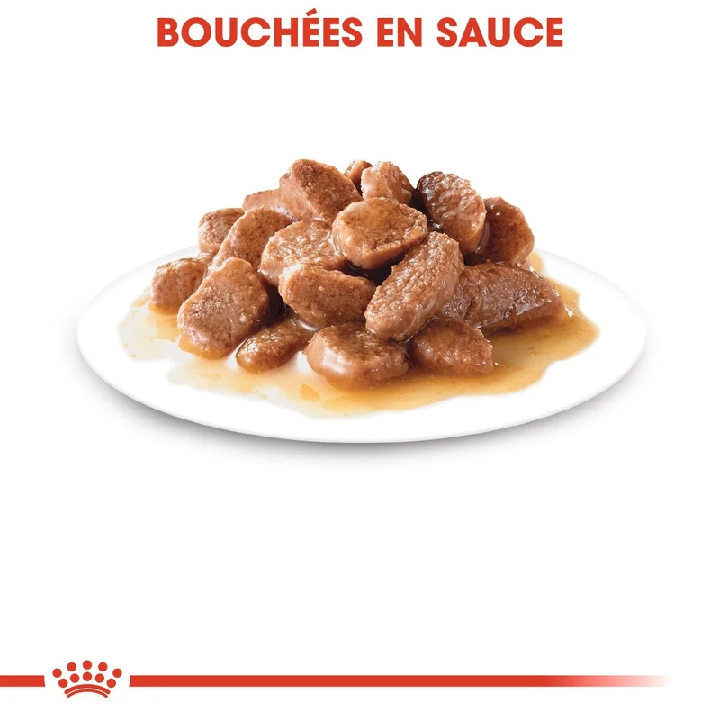 Royal Canin Hairball Care - pâtée chat