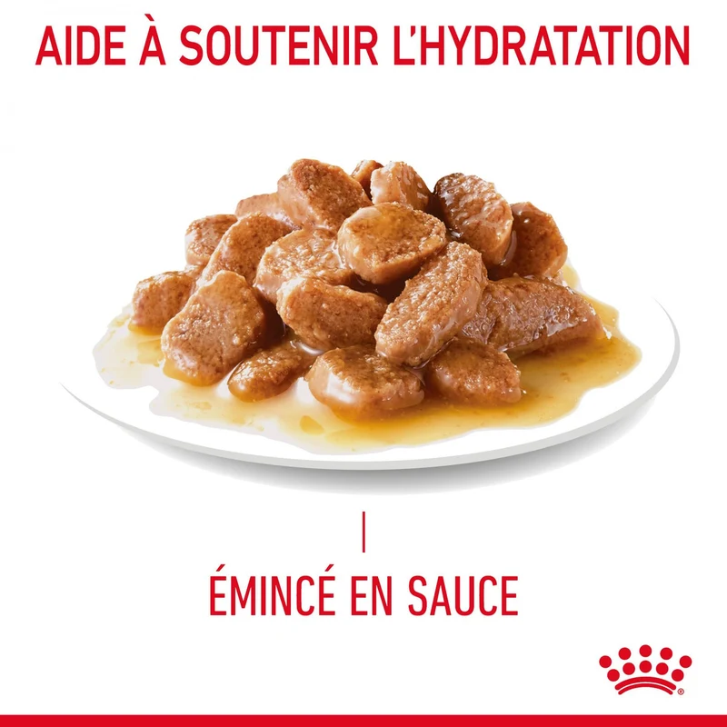 Royal Canin Hairball Care - pâtée chat