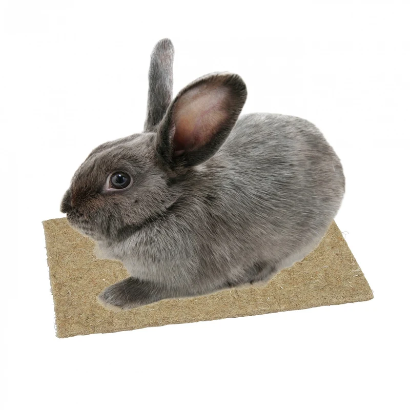 Tapis de chanvre rongeur, lapin