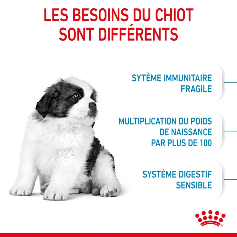 Royal Canin Giant Puppy - Croquettes pour chiot
