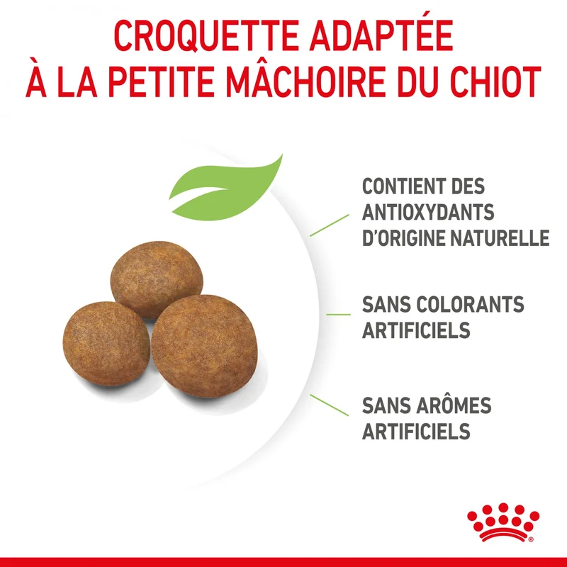 Royal Canin Giant Puppy - Croquettes pour chiot
