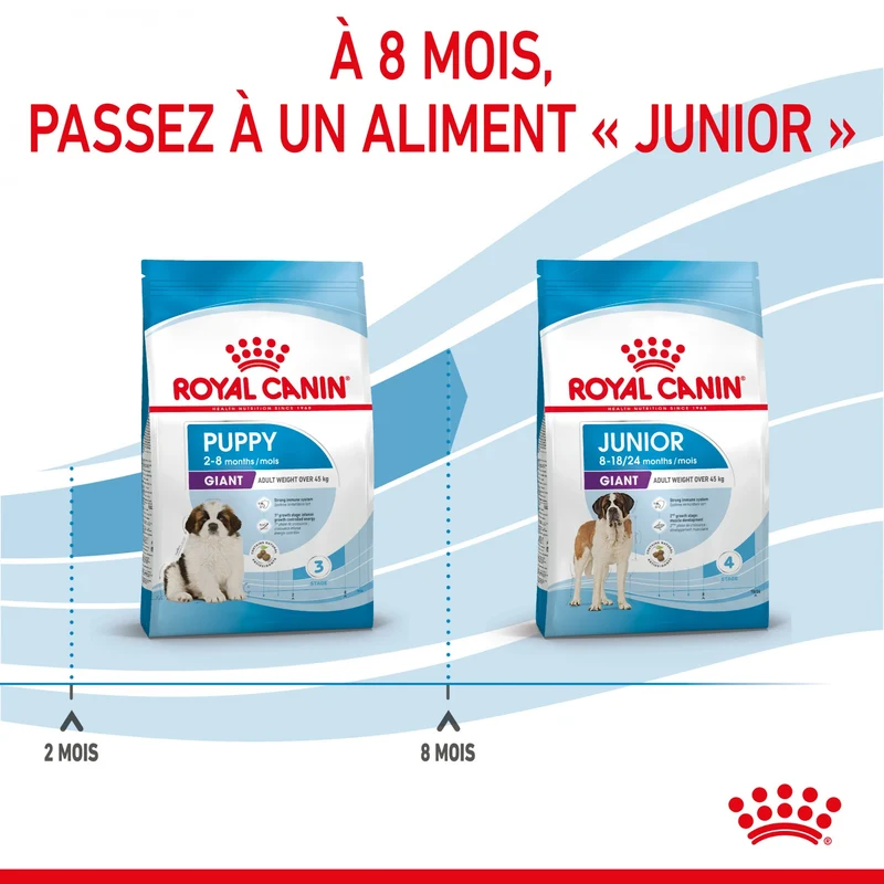 Royal Canin Giant Puppy - Croquettes pour chiot