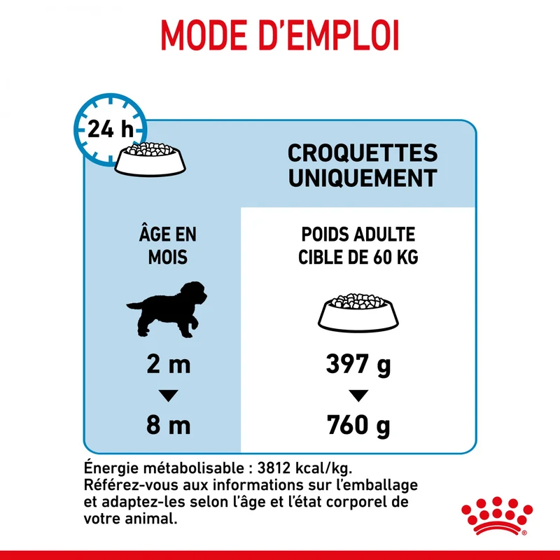 Royal Canin Giant Puppy - Croquettes pour chiot