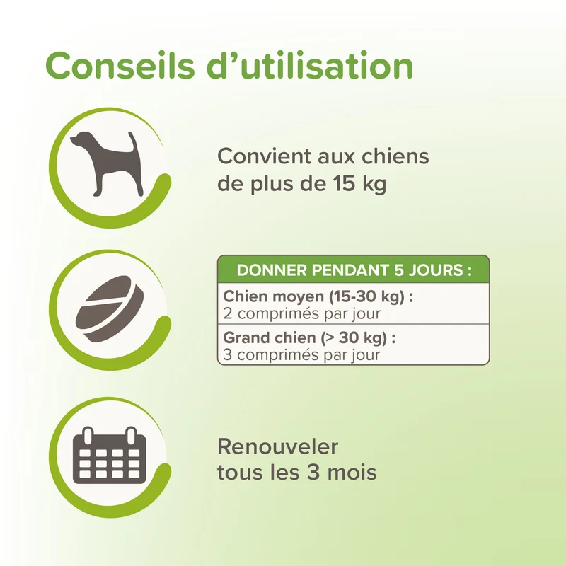 Vermipure comprimés Purge grand chien