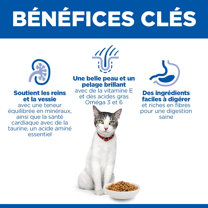 Hill's Science Plan Senior 11+ au poulet - croquettes chat
