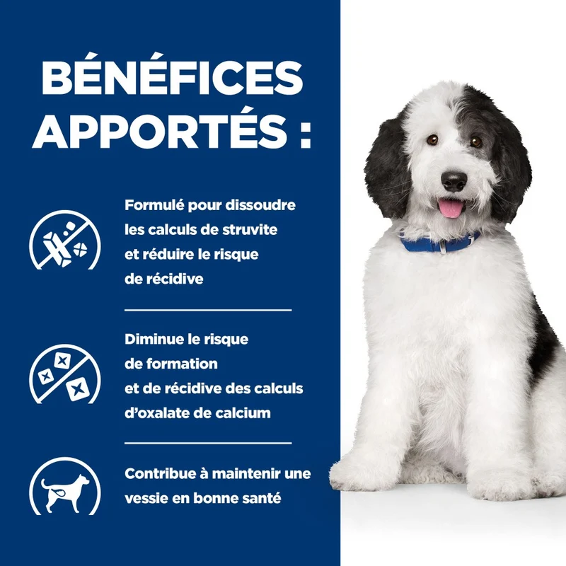 Hill's Prescription Diet c/d Urinary Care Multicare au poulet - croquettes chien