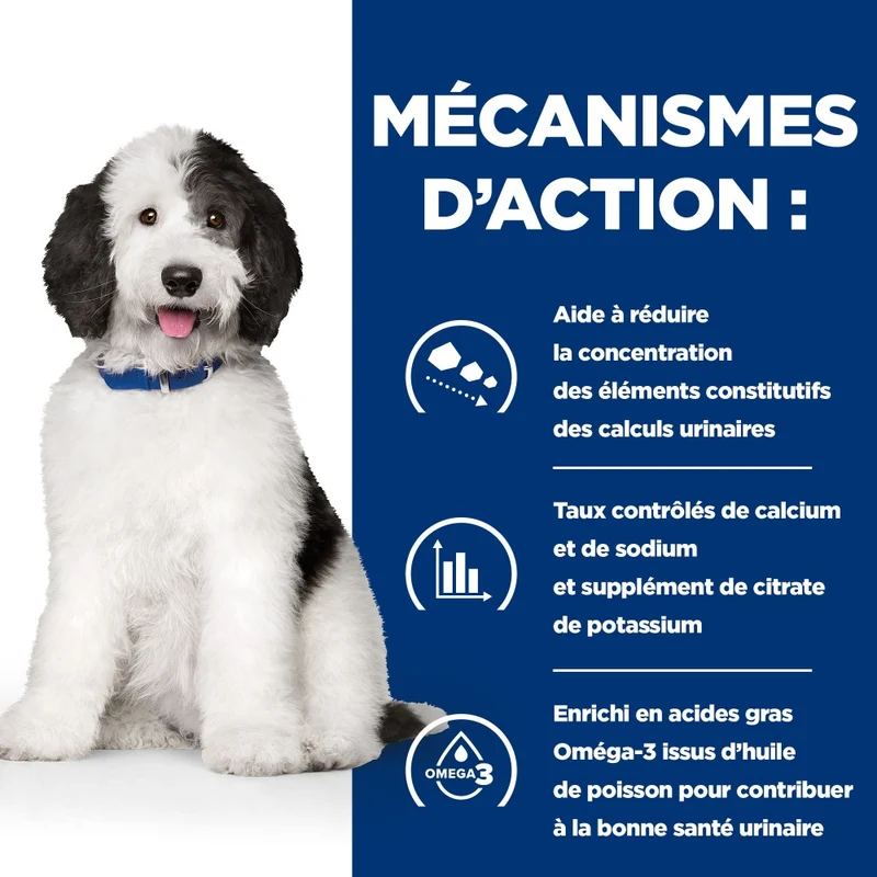 Hill's Prescription Diet c/d Urinary Care Multicare au poulet - croquettes chien