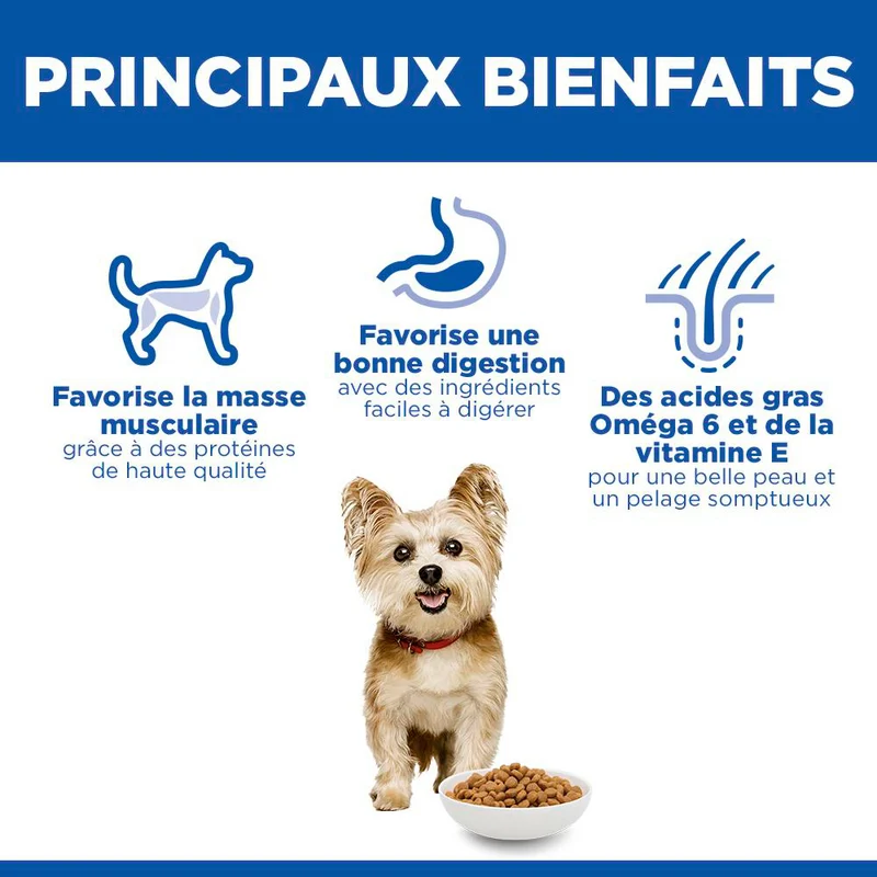 Hill's Science Plan Small & Mini Adult au poulet - croquettes chien