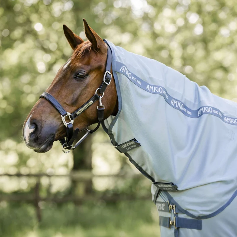Amigo Couverture Anti-Mouches Plus Heather Blue/Blue/Silver