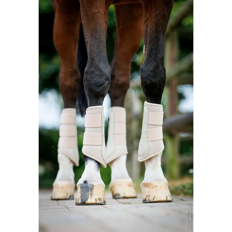 Schockemöhle Dressage Boots SP Mesh Guards Style Pierre
