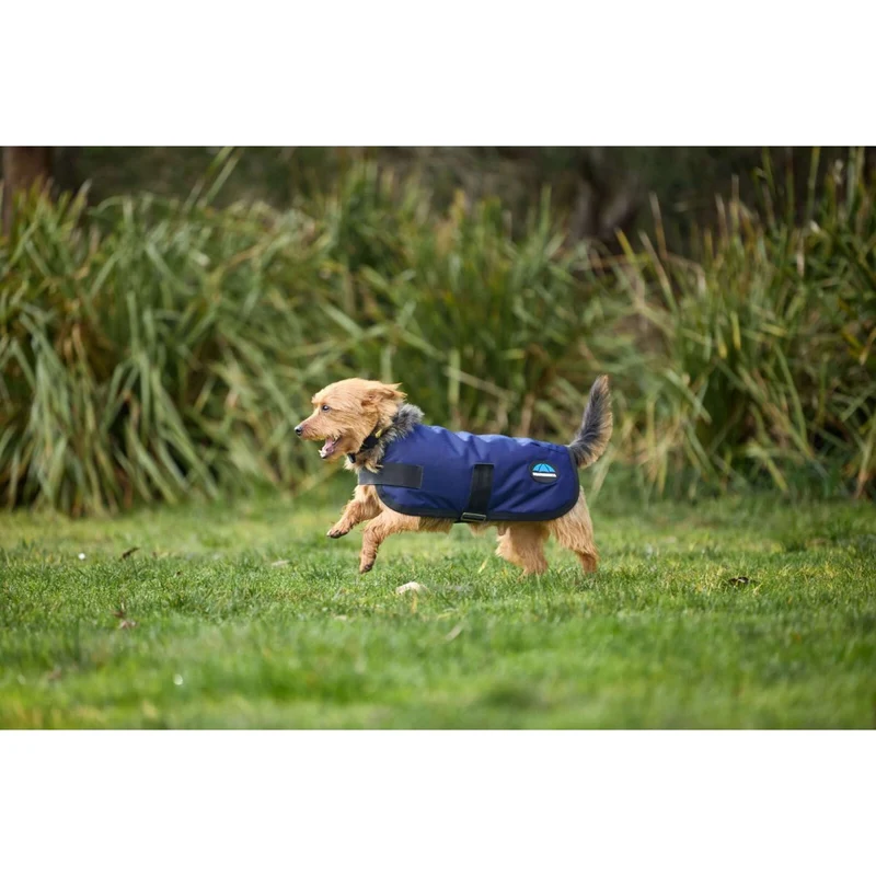 WeatherBeeta Couverture pour Chien ComFiTec Classic Waterproof Marin