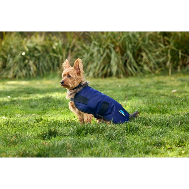 WeatherBeeta Couverture pour Chien ComFiTec Classic Waterproof Marin