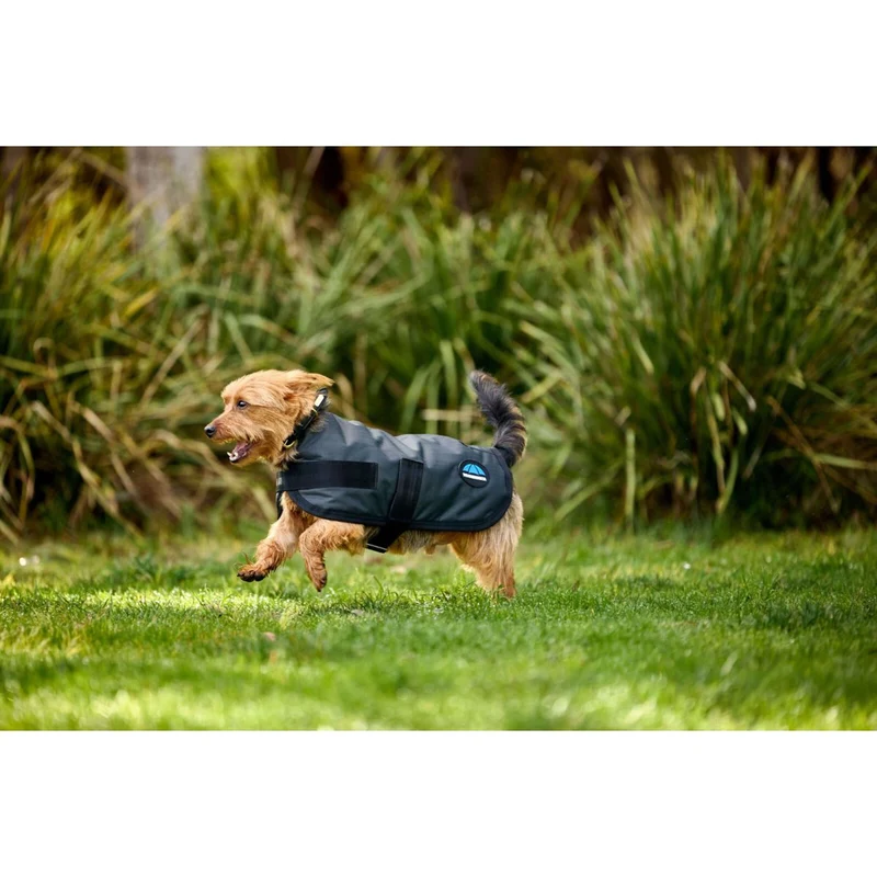 WeatherBeeta Couverture pour Chien ComFiTec Classic Waterproof Charbon