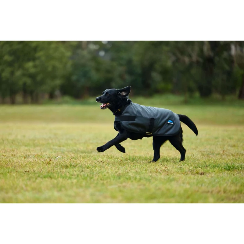 WeatherBeeta Couverture pour Chien ComFiTec Classic Waterproof Charbon