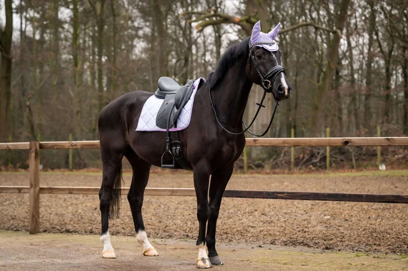 Showtime Tapis de Selle Spring Dressage Lilas