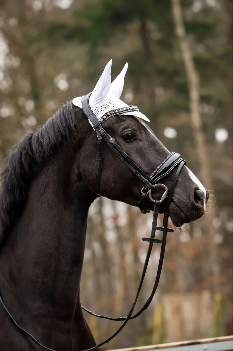 Showtime Bonnet Anti-Mouches Spring Argent