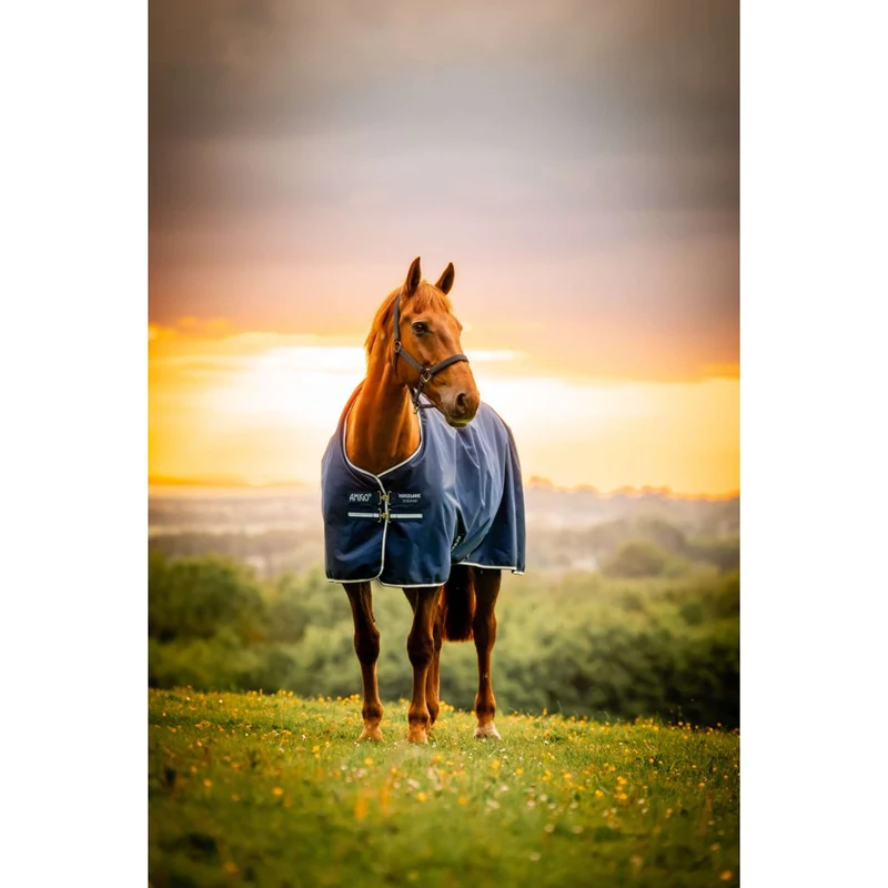 Amigo Ripstop 900D Pony 200g Witney Navy