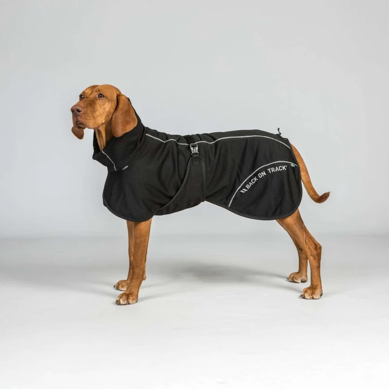 Back on Track Veste pour Chien BAY Mesh Noir