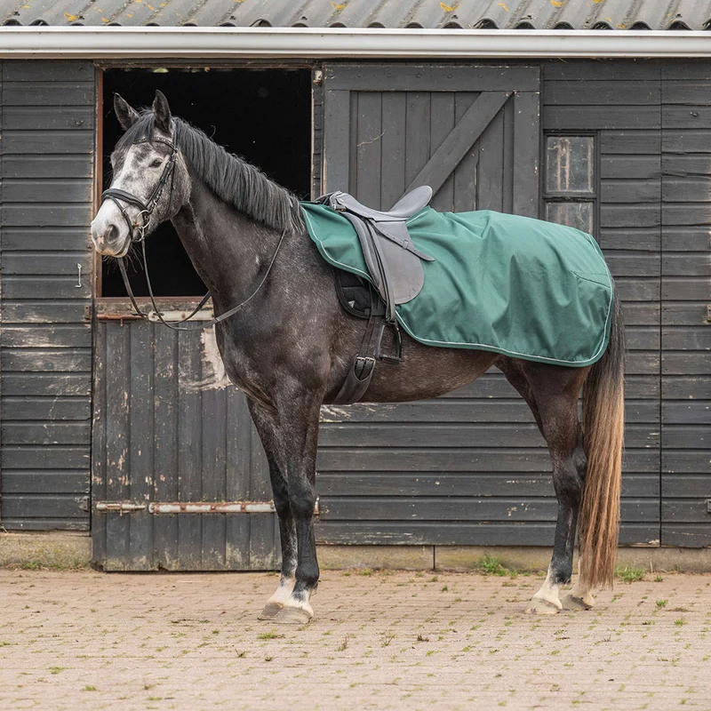 Agradi Horse Couvre-reins 1200D Bande Réfléchissante Vert