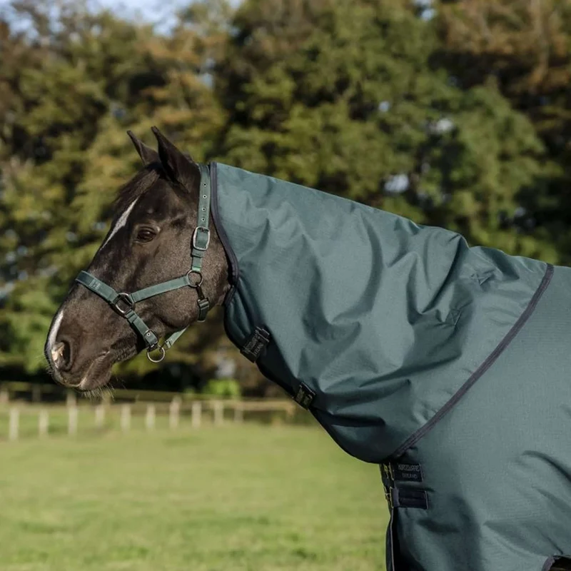 Amigo Ripstop 900D Plus Pony 50g Dynasty Green/Navy/Silver