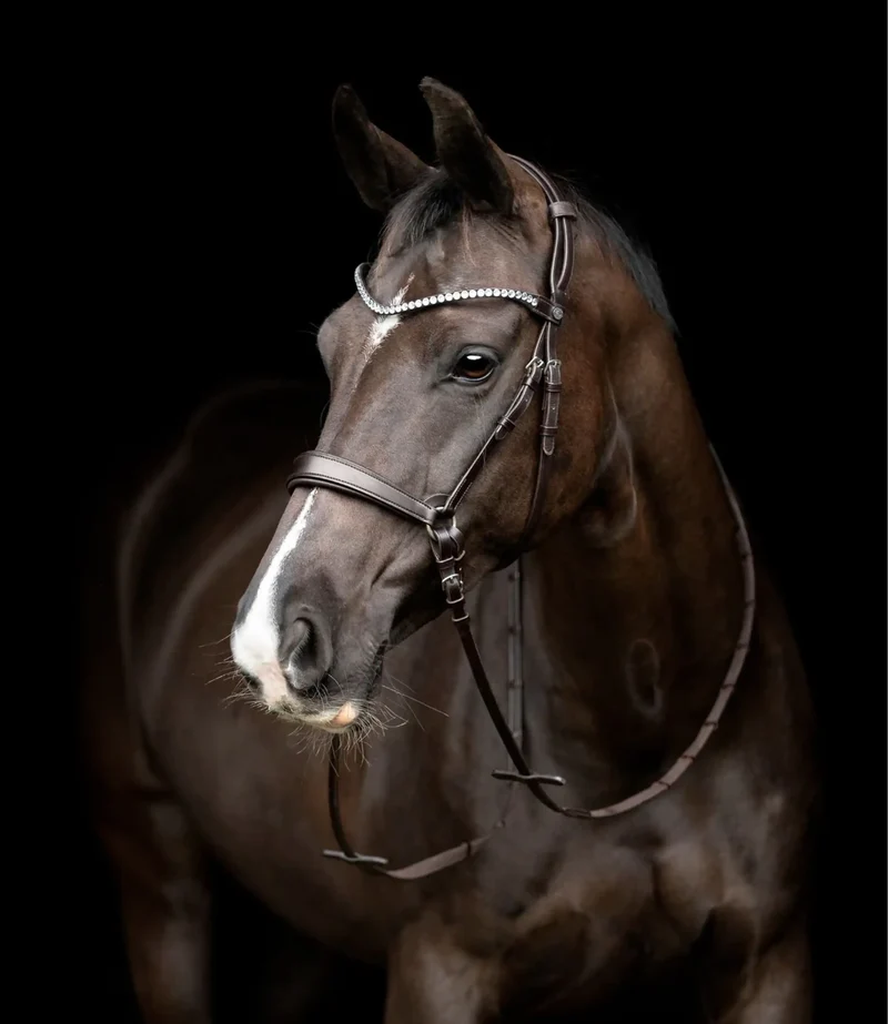 Catago Bridle Gentle Brown Set