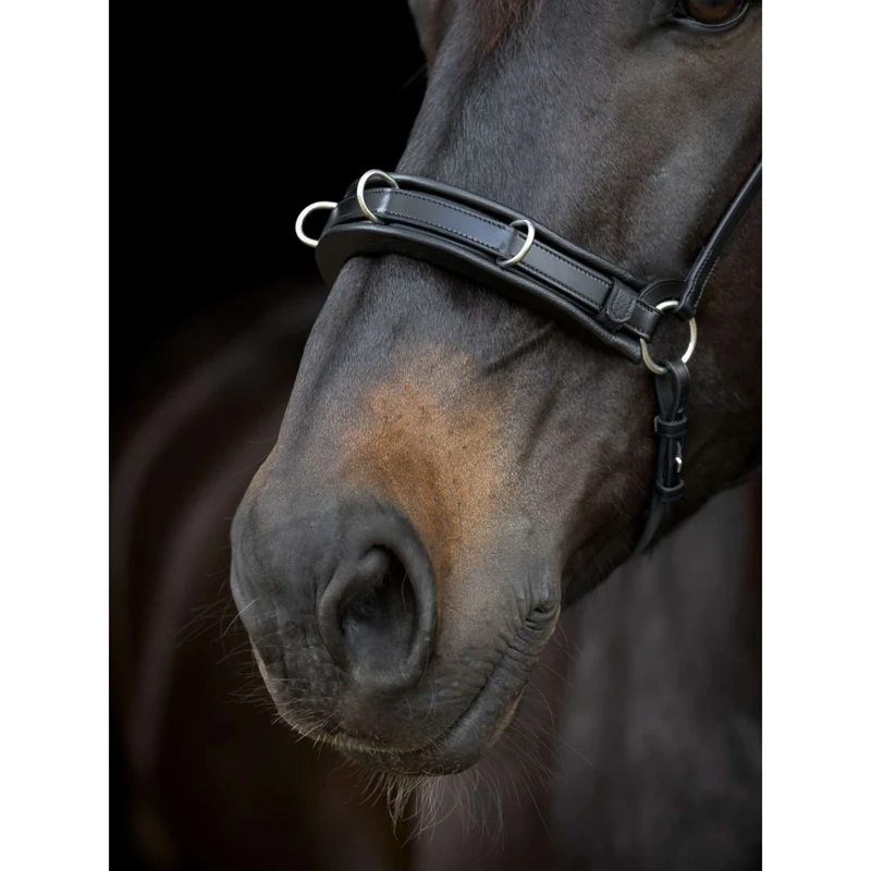 Catago Muserolle Gentle Marron