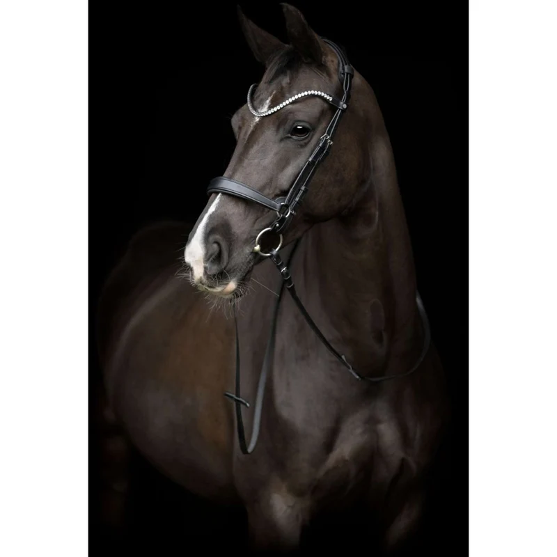 Catago Muserolle Gentle Noir