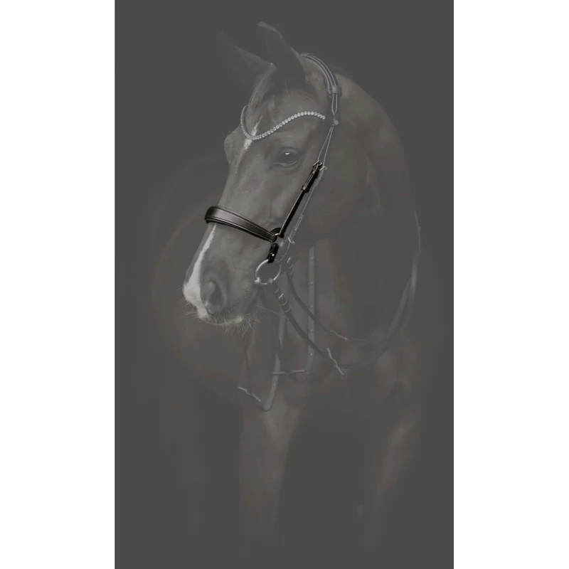 Catago Muserolle Gentle Noir