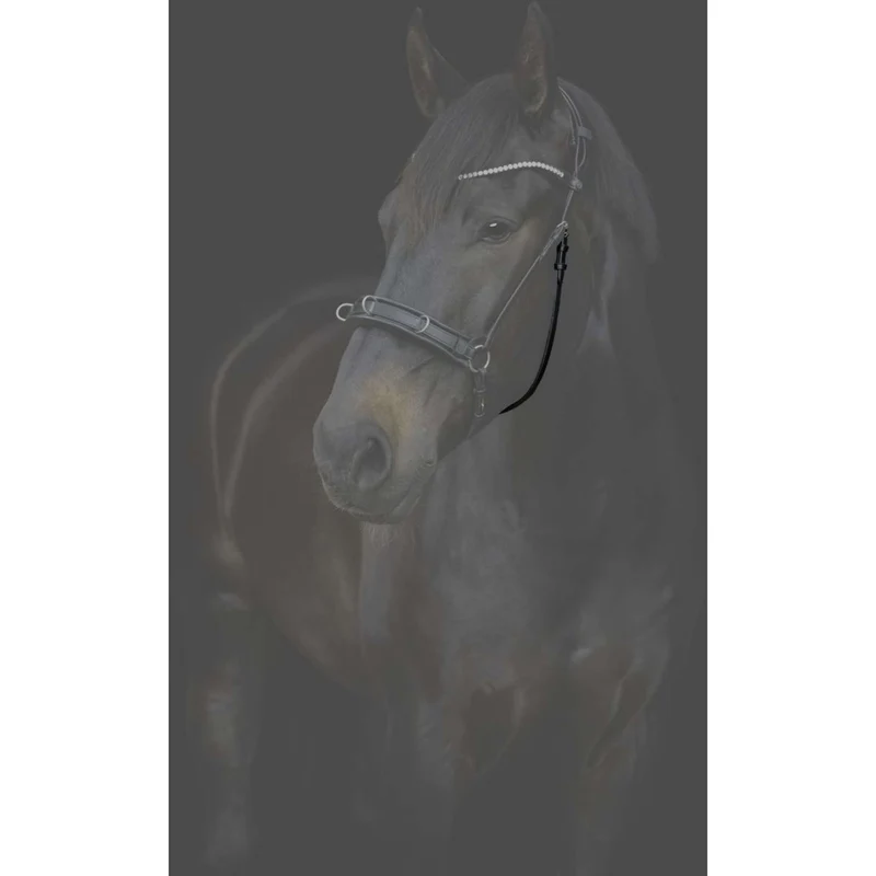 Catago Sous-Gorge Gentle avec Boucles Noir