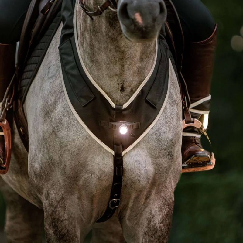 Kavalkade Collier de Chasse Horselight Noir/Gris