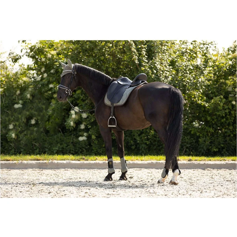 BR Protèges-Tendons Event Neopreen Voering Mulled Basil