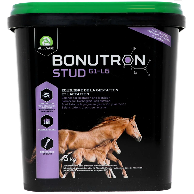 Audevard Bonutron Stud