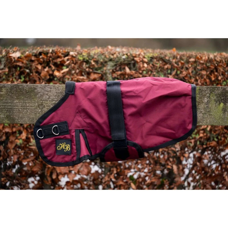 HB Couverture pour Poulain Ukki Bordeaux