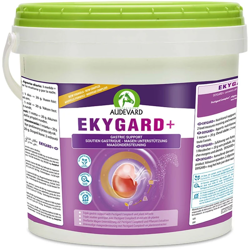 Audevard Ekygard